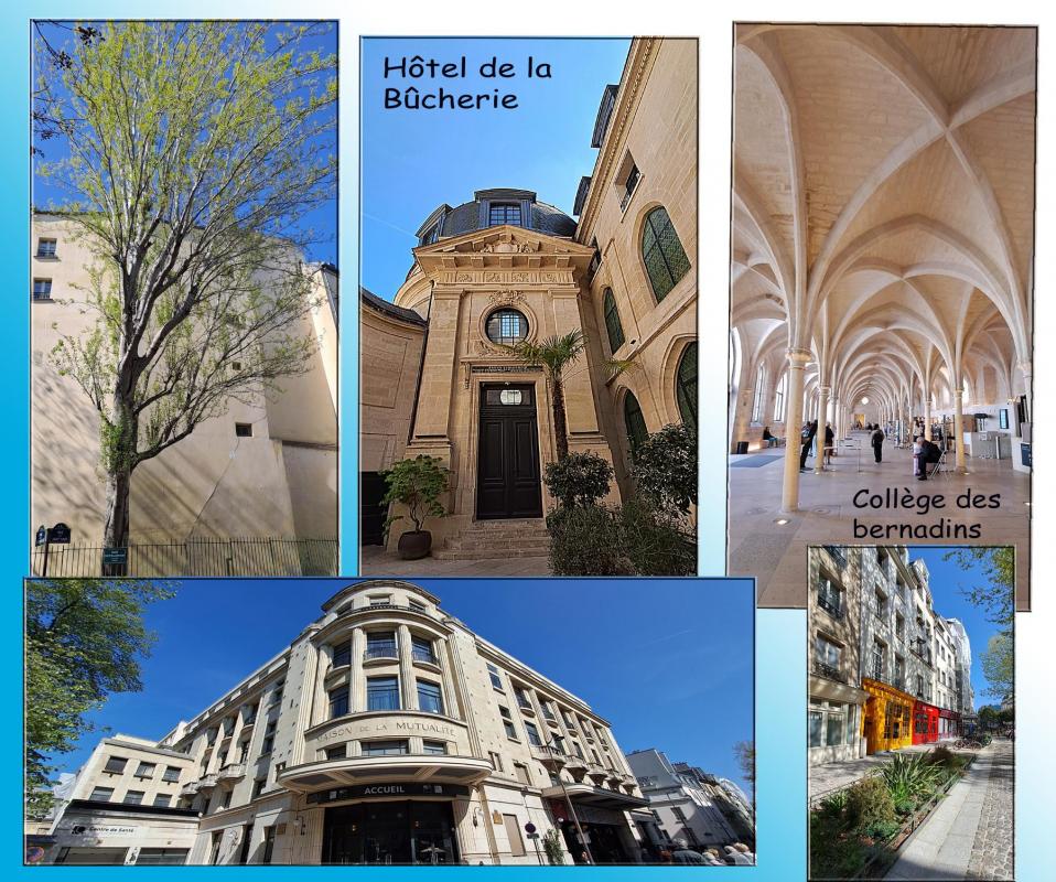 Quartier latin